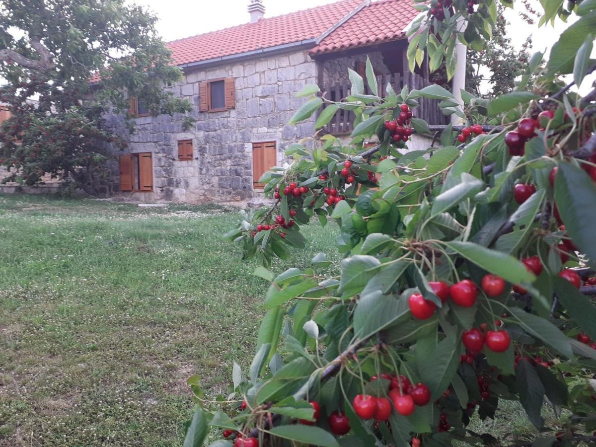 Patakun Holiday Home For 5, With Heated Pool Lecevica Esterno foto